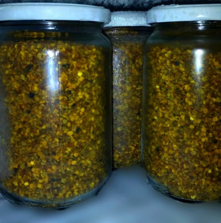 Vendora Ηπειρωτική γύρη