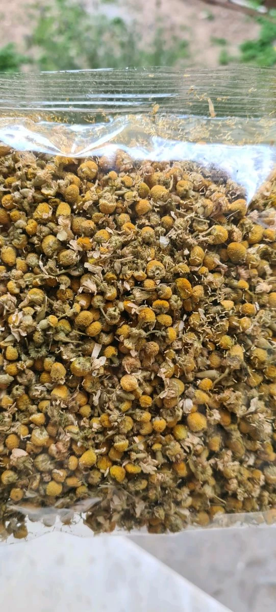 Vendora ΧΑΜΟΜΗΛΙ!!! - Image 2