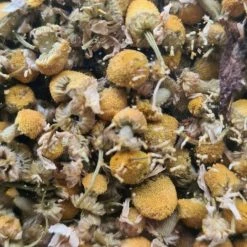 Vendora ΧΑΜΟΜΗΛΙ!!!