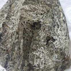 Vendora Φασκομηλο Salvia Officinallis