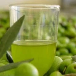 Vendora ΒΙΟΛΟΓΙΚΟ ΑΓΟΥΡΕΛΑΙΟ ΠΡΩΤΟΛΑΔΟ ΕΞΕΡΑΙΤΙΚΟ!!!