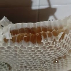 Vendora Γνήσιο μέλι πευκο θυμαρι