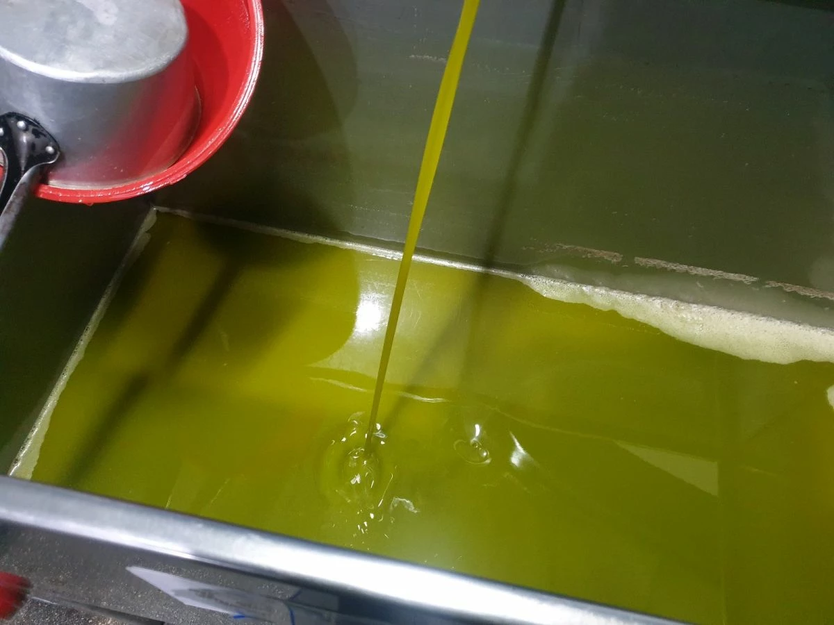 Vendora Ελαιόλαδο Βιολογικό έξτρα παρθένο χωρίς οξέα 18,7 λιτρα - Image 2