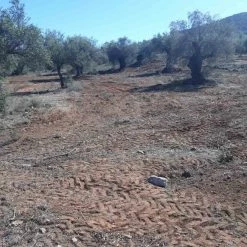 Vendora ΛΑΔΙ ΛΑΚΩΝΙΑΣ