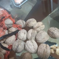 Vendora καρύδια παραγωγής βιολογικά