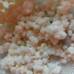 Vendora ΣΠΟΡΟΙ ΚΕΦΙΡ