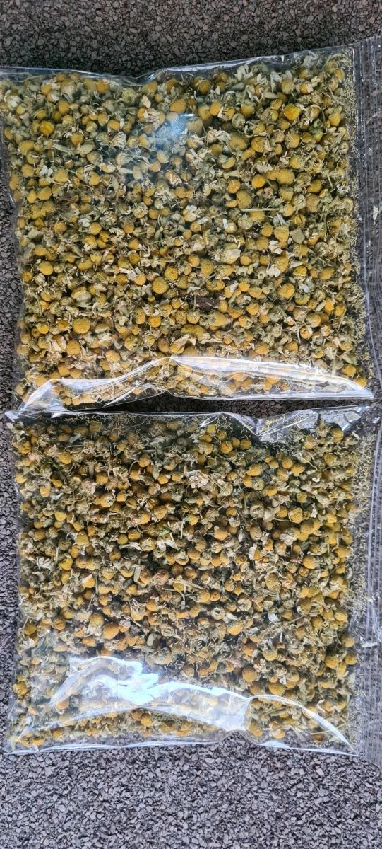 Vendora ΧΑΜΟΜΗΛΙ!!! - Image 4