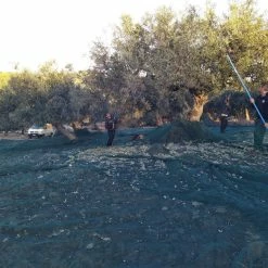 Vendora Εξαιρετικό Παρθένο Ελαιόλαδο